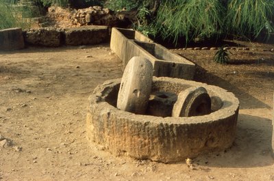 Oil Press by Roman